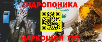 твердый Славгород